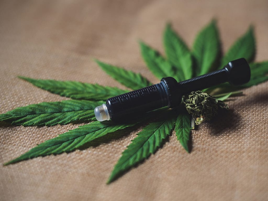 CBD smola kot koncentrirana oblika kanabidiola