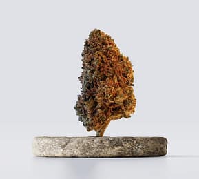 Super silver haze