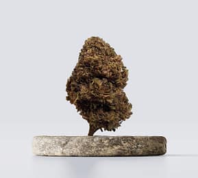 Cbd vršički apple fritz